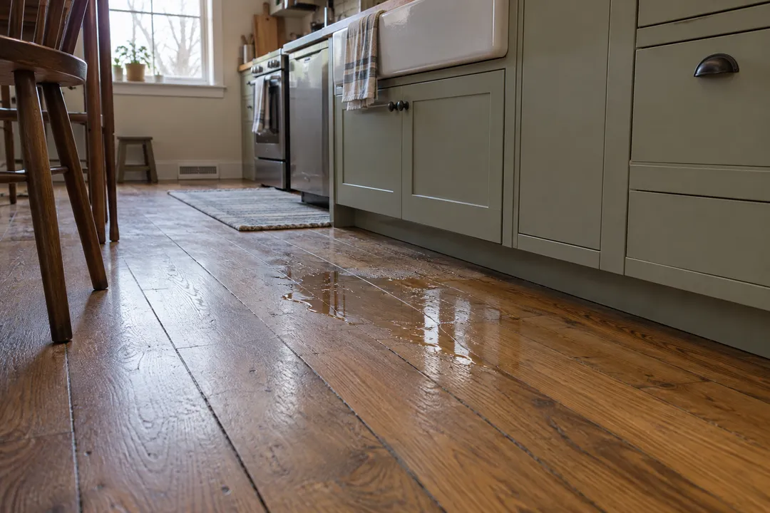A thin puddle along the base of a kitchen sink cabinet.