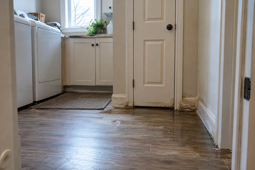 Damp lower trim and wet flooring beside a utility closet.