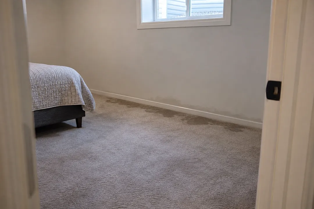 Damp carpet along a lower-level bedroom wall.